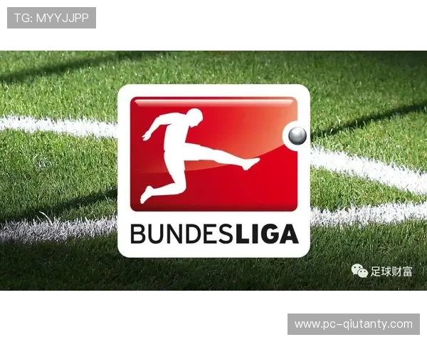 德甲残疾球迷设施升级,轮椅座位增加至千个 德甲残疾球迷设施升级,轮椅座位增加至千个