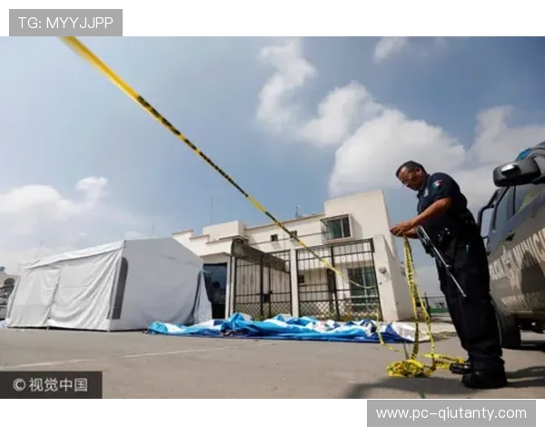 墨西哥球场枪击案致11人死亡，安全措施受关注